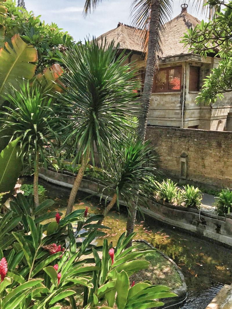 Grand Balisani Suites Hotel - Genel