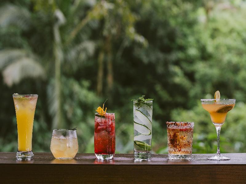 Alila Ubud - Bar
