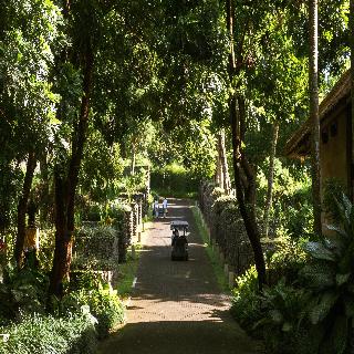 Alila Ubud fotoÄŸrafÄ±