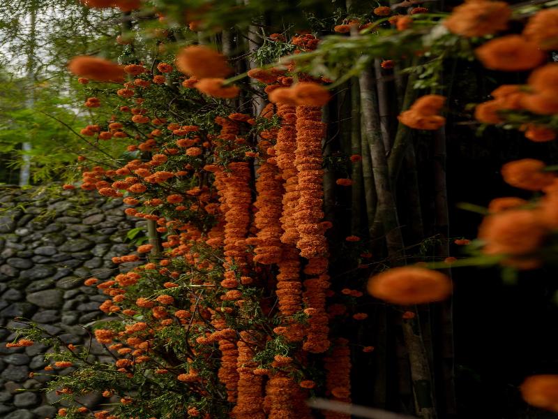 Alila Ubud - Lobi