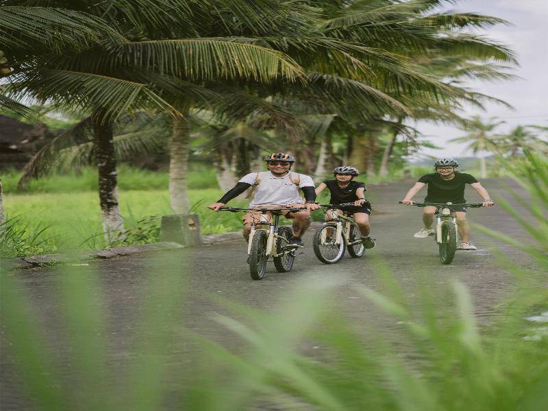 Alila Ubud - Aktivite
