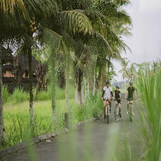Alila Ubud fotoÄŸrafÄ±