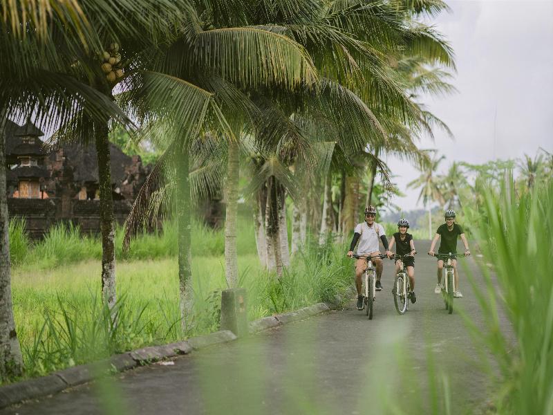 Alila Ubud - Aktivite