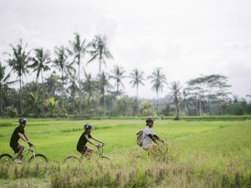 Alila Ubud - Aktivite