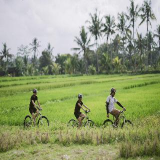 Alila Ubud fotoÄŸrafÄ±