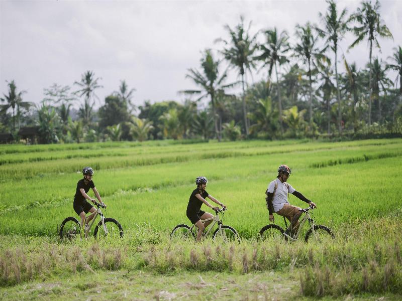 Alila Ubud - Aktivite