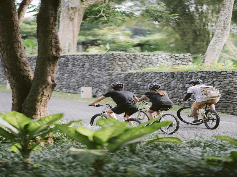 Alila Ubud - Aktivite