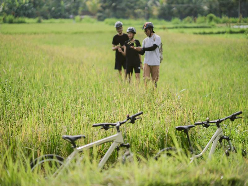 Alila Ubud - Aktivite