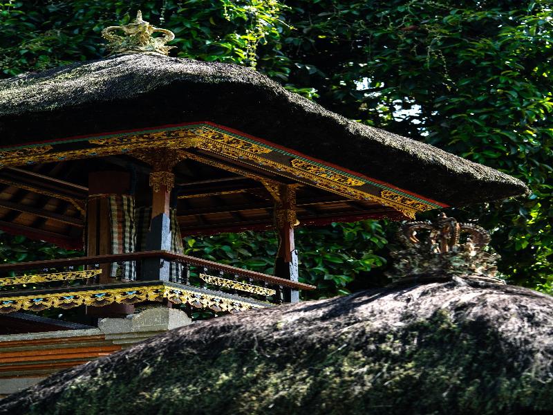 Alila Ubud - Aktivite