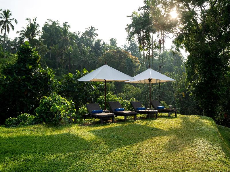 Alila Ubud - Aktivite