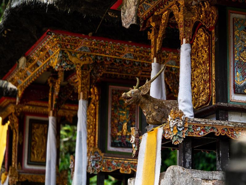 Alila Ubud - Aktivite