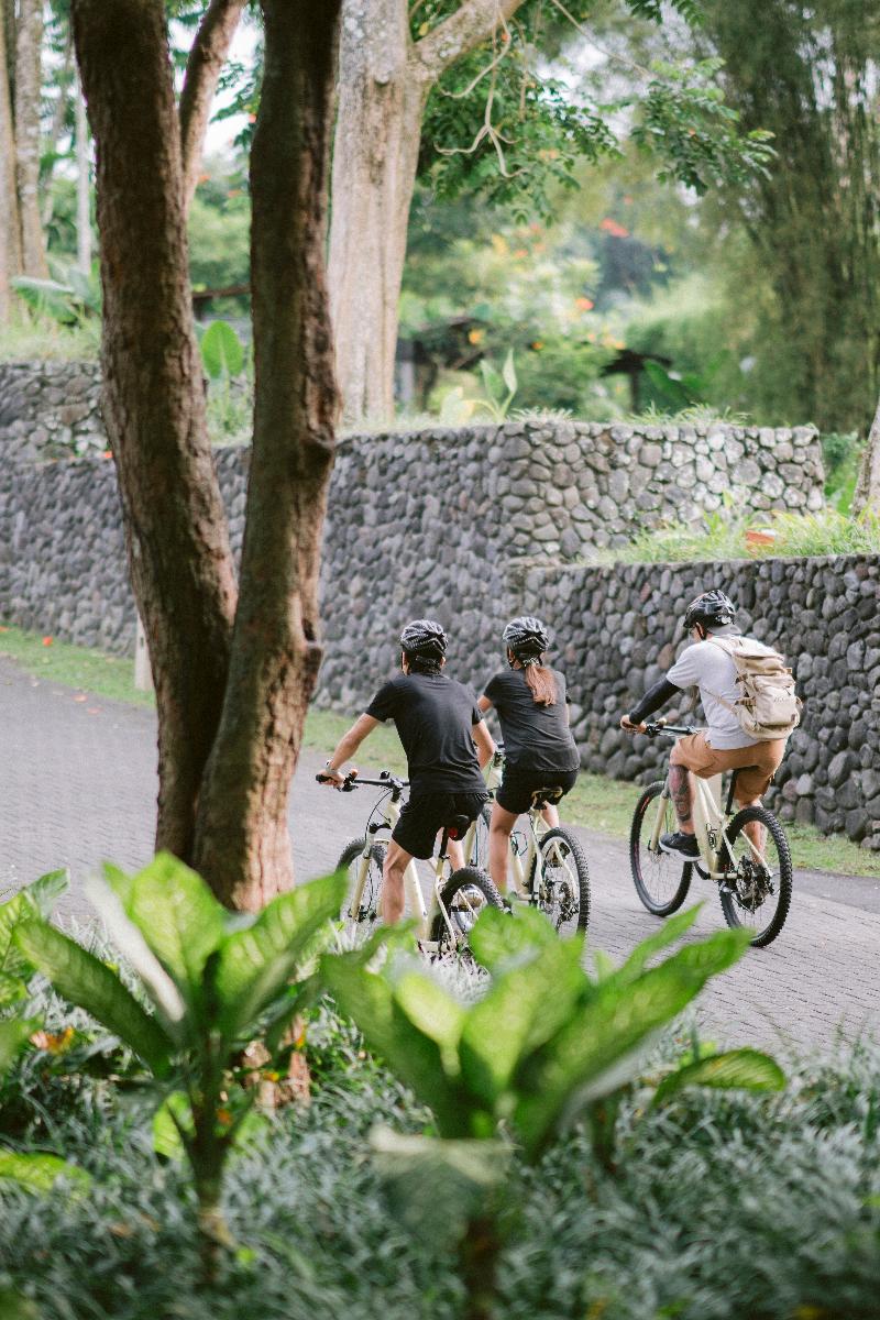 Alila Ubud - Aktivite