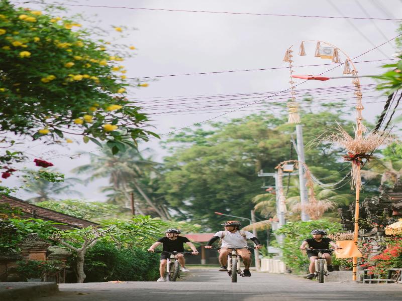 Alila Ubud - Aktivite