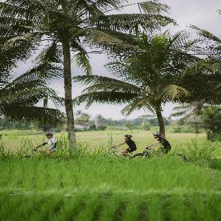 Alila Ubud fotoÄŸrafÄ±
