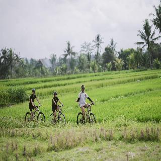 Alila Ubud fotoÄŸrafÄ±