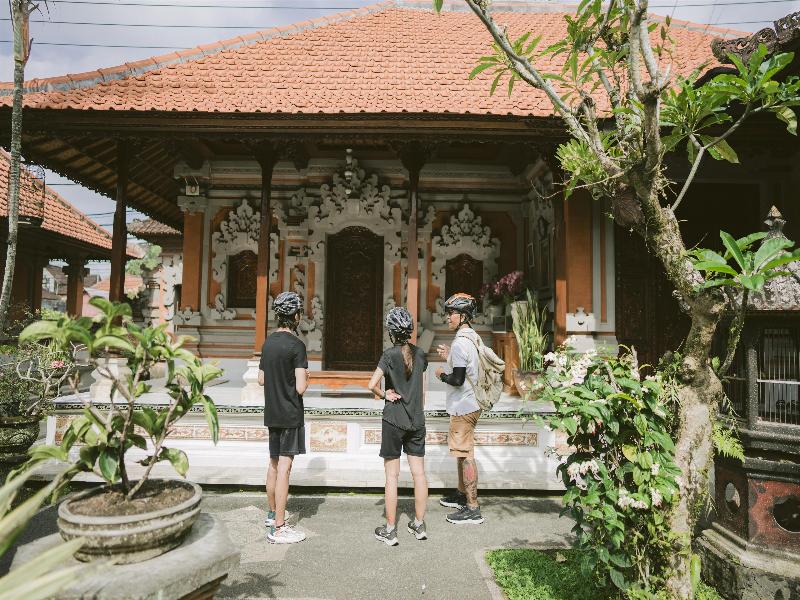 Alila Ubud - Aktivite