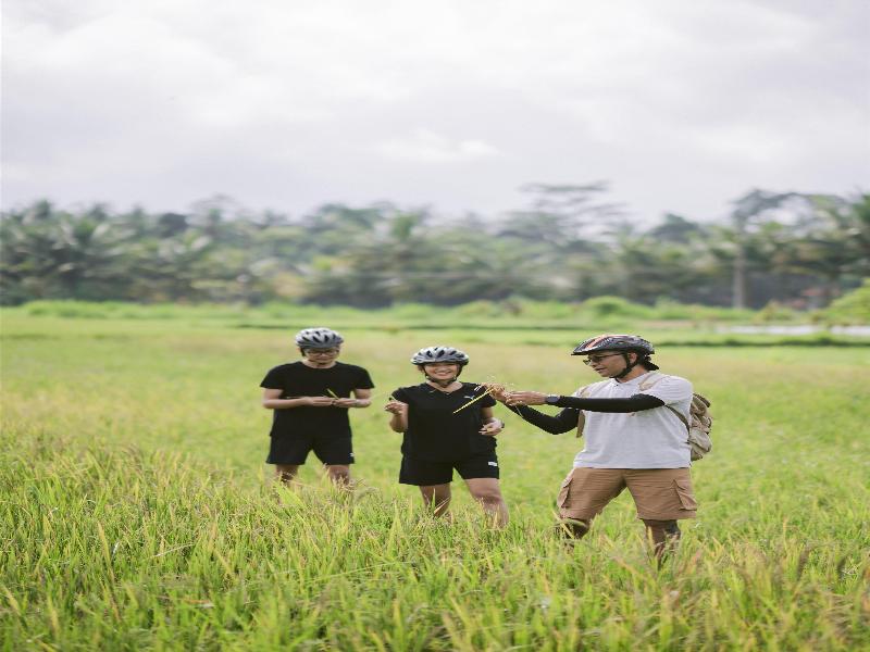Alila Ubud - Aktivite