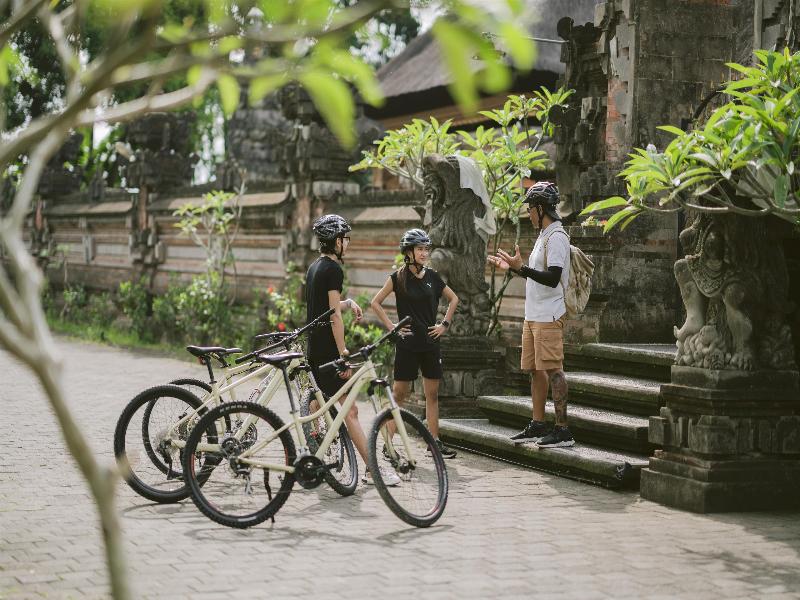 Alila Ubud - Aktivite