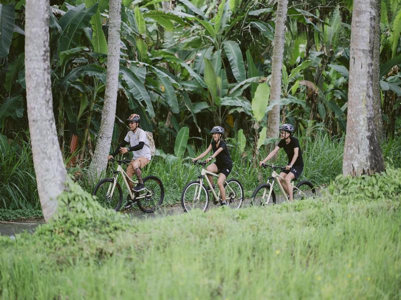 Alila Ubud - Aktivite