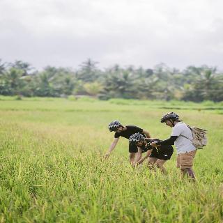 Alila Ubud fotoÄŸrafÄ±