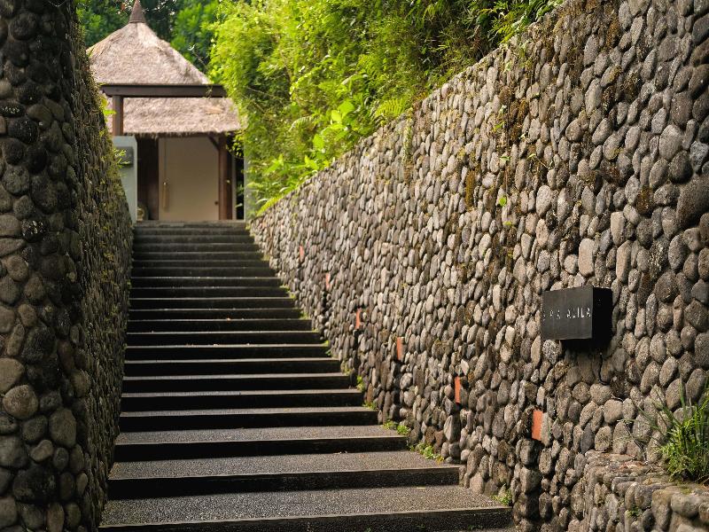 Alila Ubud - Aktivite