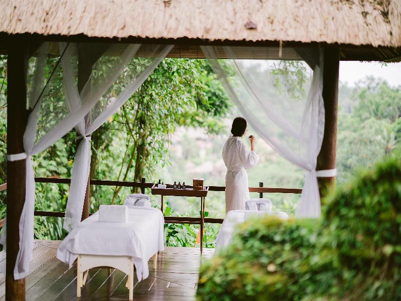 Alila Ubud - Aktivite