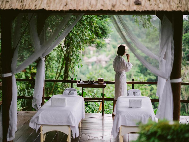 Alila Ubud - Aktivite
