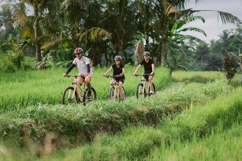Alila Ubud - Aktivite