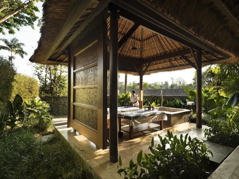 Alila Ubud - Aktivite