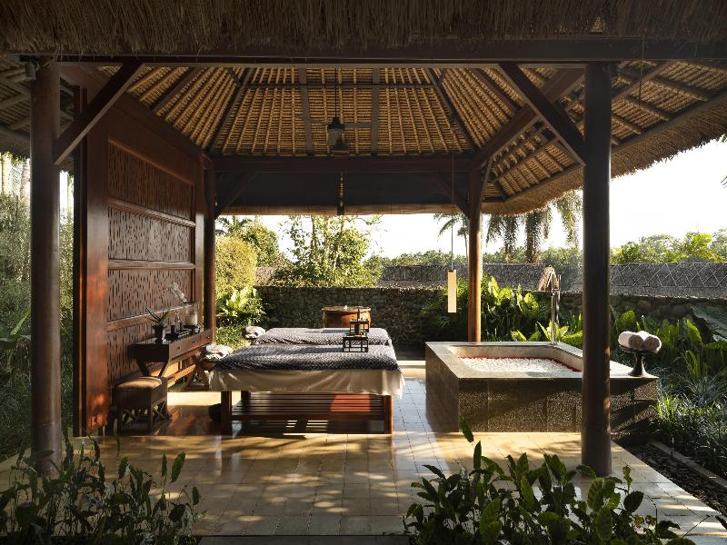 Alila Ubud - Aktivite