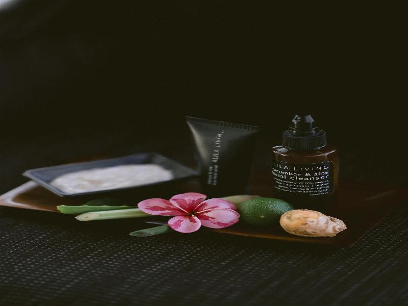 Alila Ubud - Aktivite