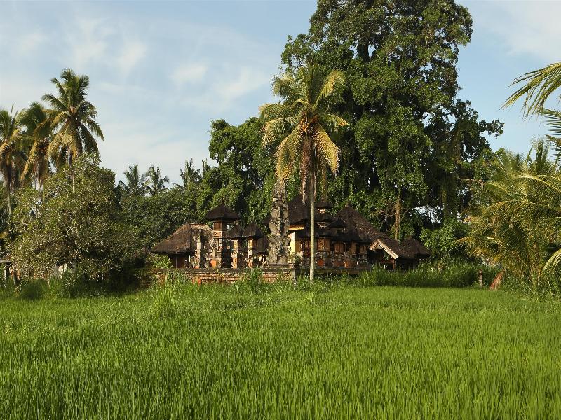 Alila Ubud - Genel