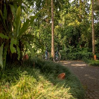 Alila Ubud fotoÄŸrafÄ±