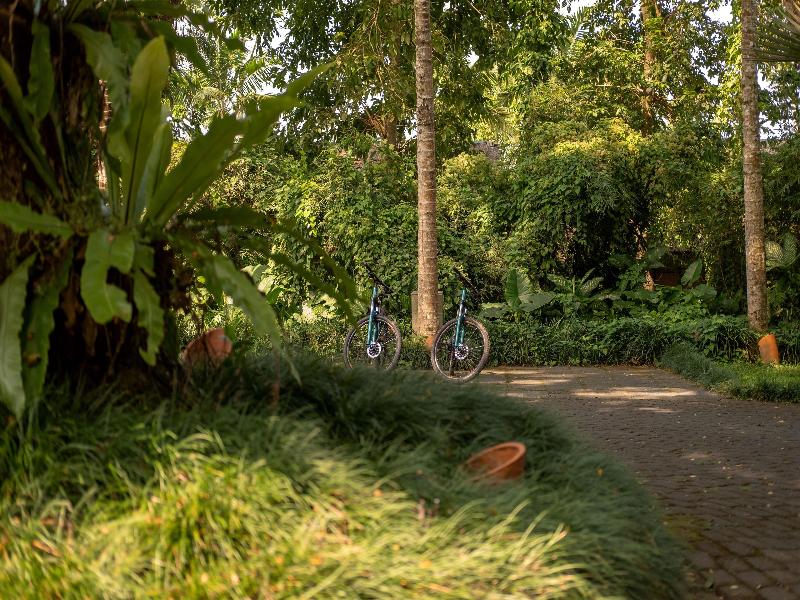 Alila Ubud - Genel