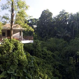 Alila Ubud fotoÄŸrafÄ±