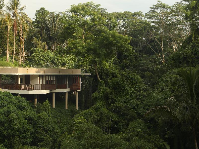 Alila Ubud - Oda