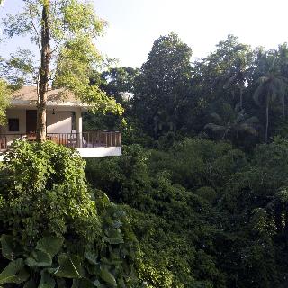 Alila Ubud fotoÄŸrafÄ±
