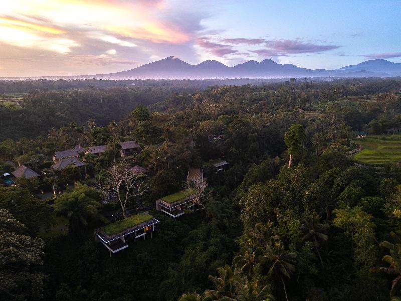 Alila Ubud - Oda