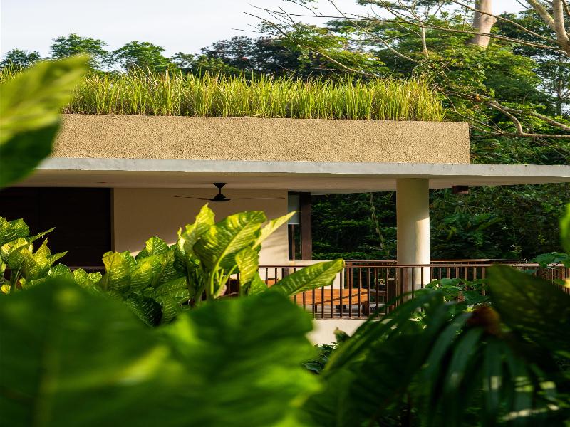 Alila Ubud - Oda