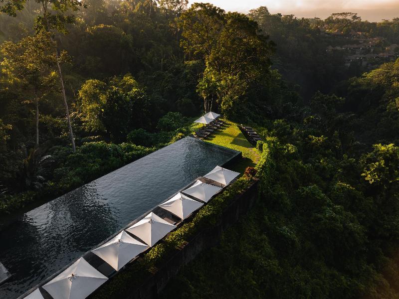 Alila Ubud - Havuz