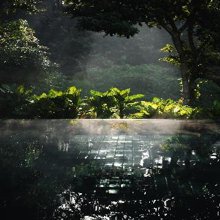 Alila Ubud fotoÄŸrafÄ±