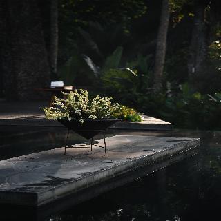 Alila Ubud fotoÄŸrafÄ±