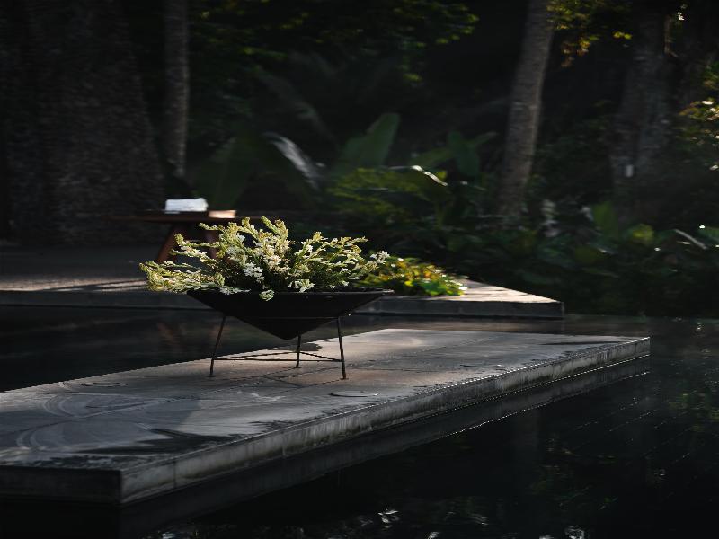 Alila Ubud - Havuz