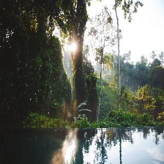 Alila Ubud fotoÄŸrafÄ±