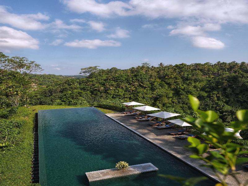 Alila Ubud - Havuz