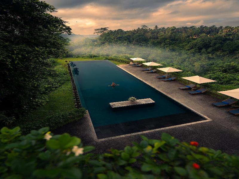 Alila Ubud - Havuz