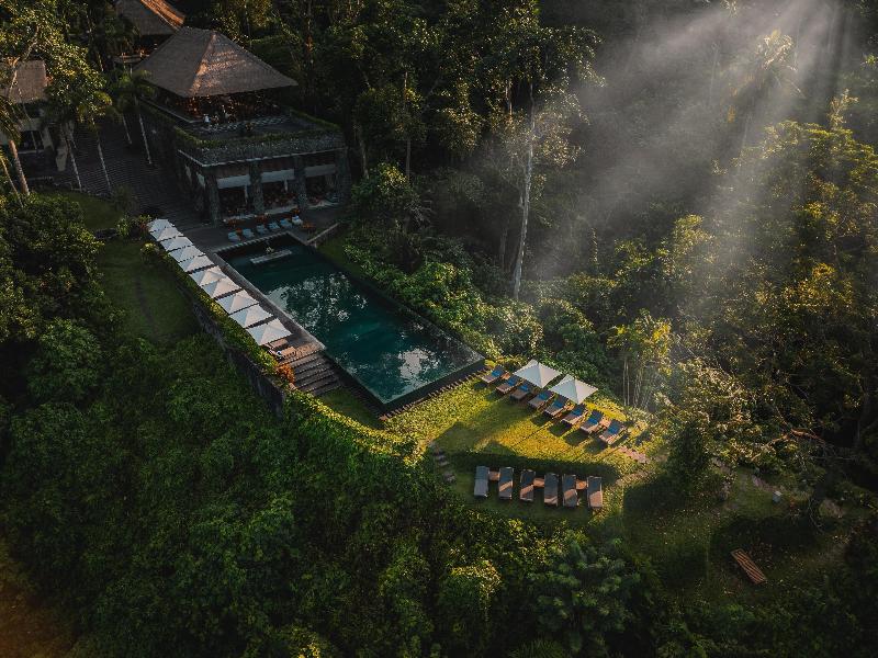 Alila Ubud - Havuz