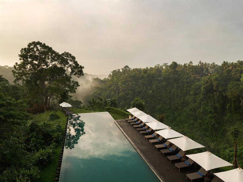 Alila Ubud - Havuz