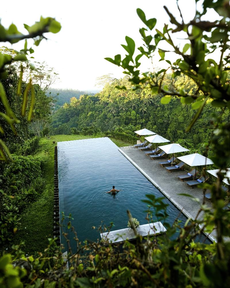 Alila Ubud - Havuz