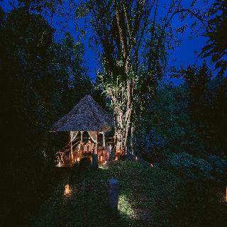 Alila Ubud fotoÄŸrafÄ±